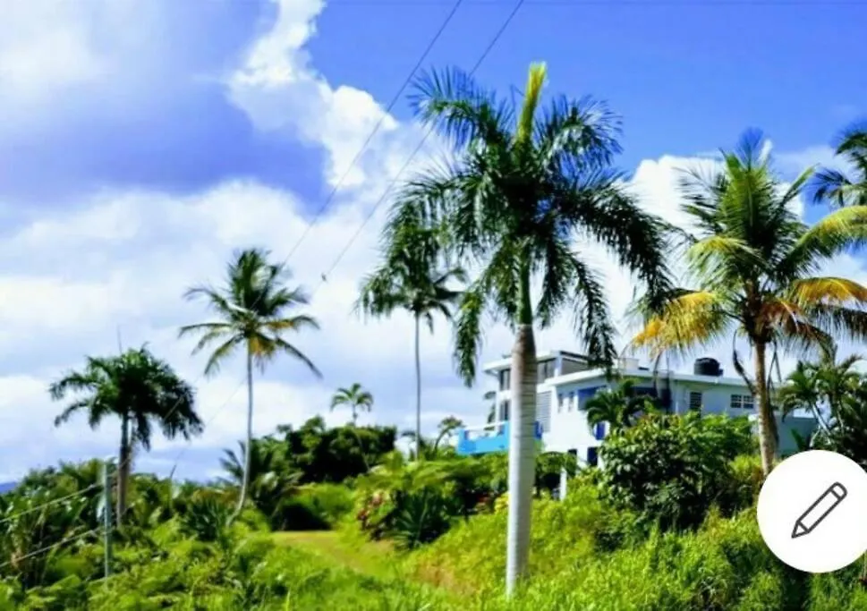 Swim & Paint Art Retreat Apartment Las Piedras